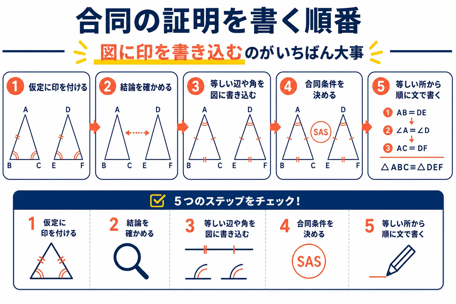 中2数学の図形の証明で、仮定の確認から合同条件を使って結論を書くまでの順番を示した図解